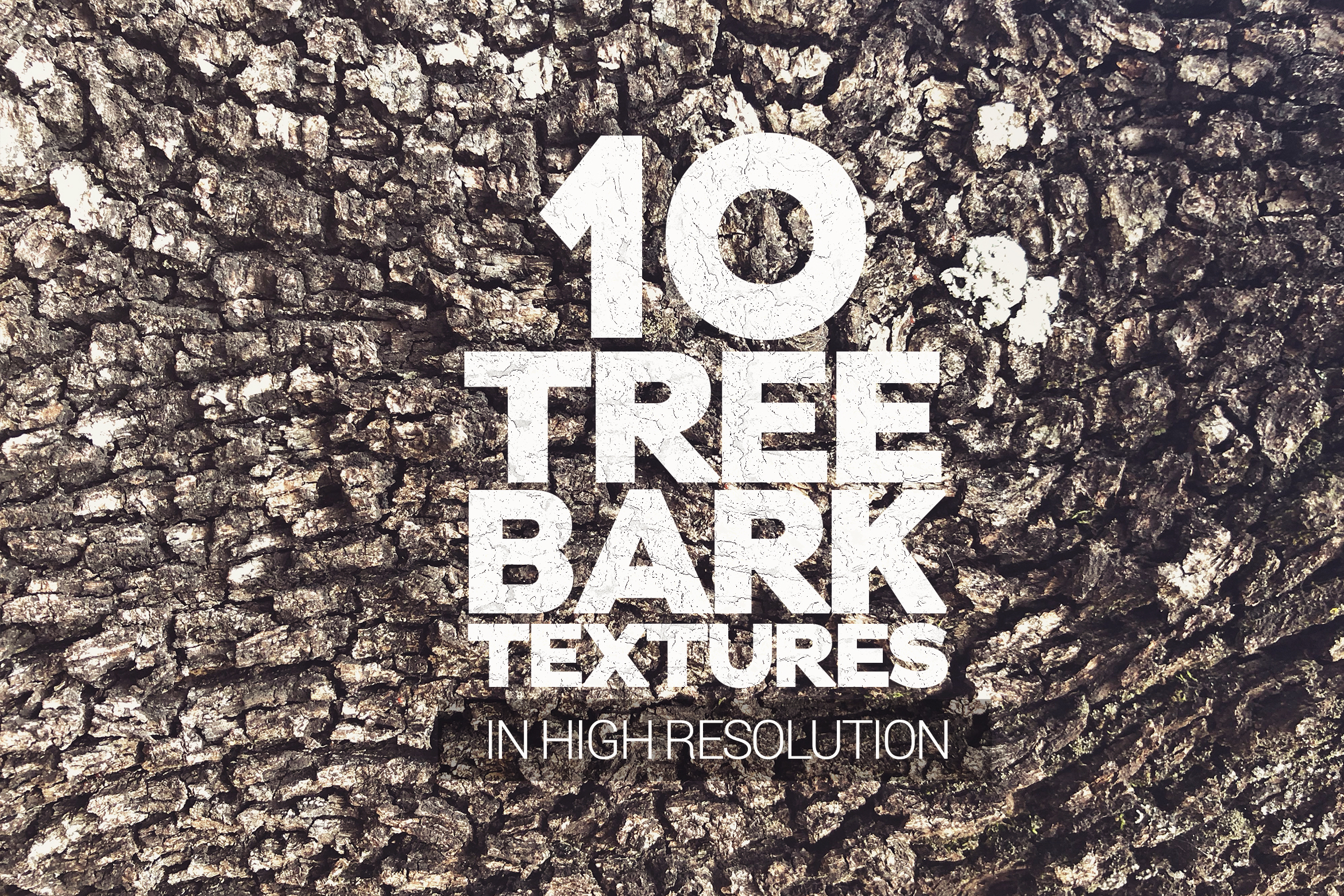Tree Bark Textures Vol 1 x10